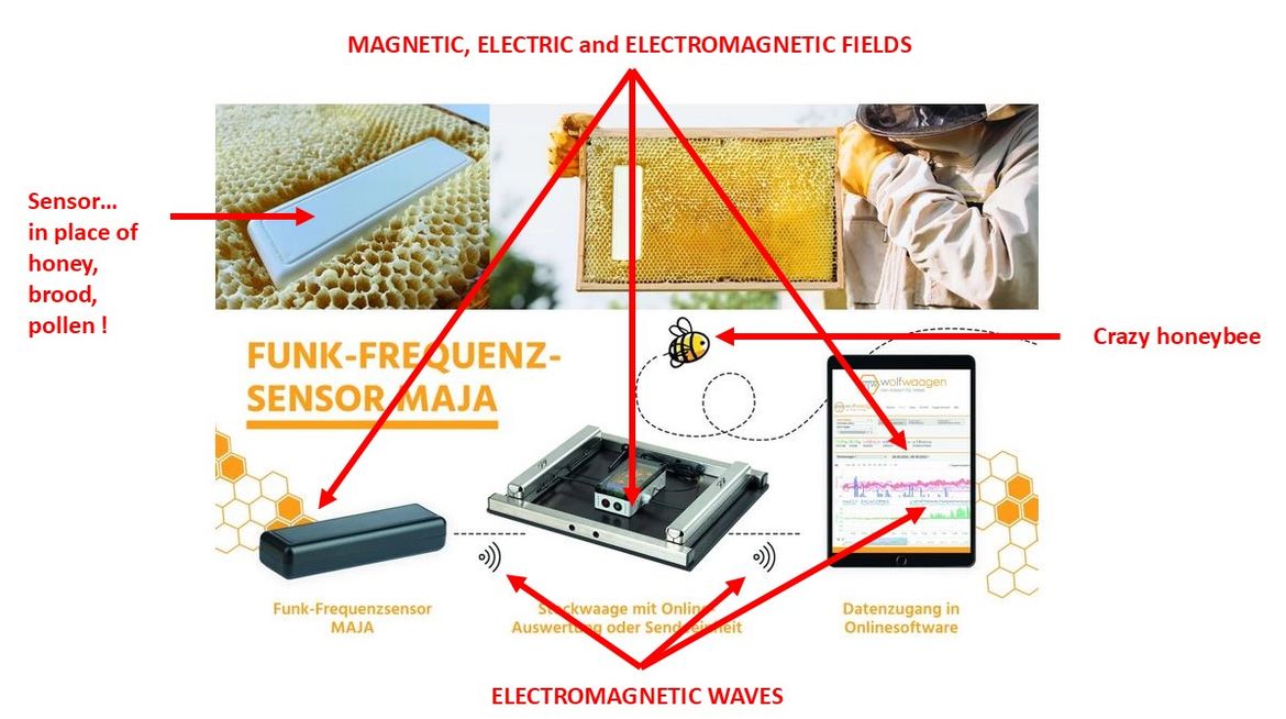 MAJA SYSTEM WITH ELECTROMAGNETIC POLLUTION ETC